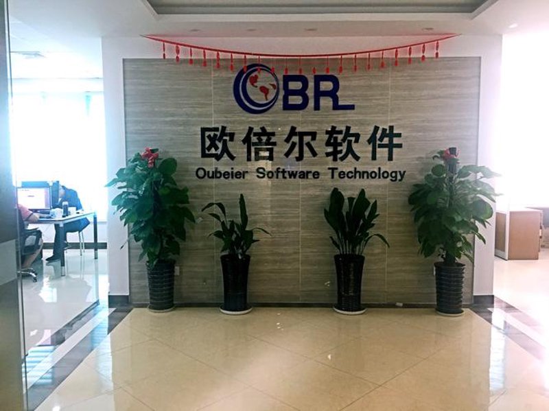 定制开发软件：企业数字化转型的助推器
